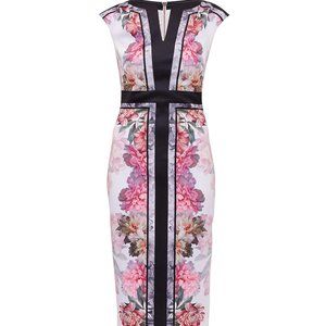 Ted Baker Painted Posie Midi Dress, Baby Pink S